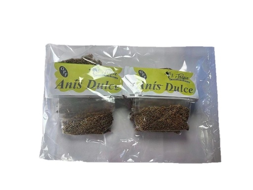 [1003] ANIS DULCE 7G (A)